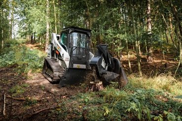 Mini chargeuse Bobcat T590E - 2