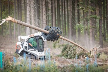 Mini chargeuse Bobcat T590E - 1